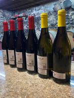 2023 Raúl Pérez “Castro Ventosa 2023 Collection” (Bierzo,, Nieuw