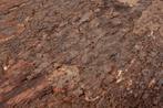 Wandkurk plaat - Cork Forest Bark - 60 x 29,5cm, Ophalen of Verzenden, Nieuw