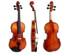 Veiling - Theodore VLN16-3-4 Viool voor beginners - 3/4 maat, Muziek en Instrumenten, Strijkinstrumenten | Violen en Altviolen