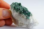 Levendige blauwgroene Toermalijn op matrix met kleurzones -, Verzamelen
