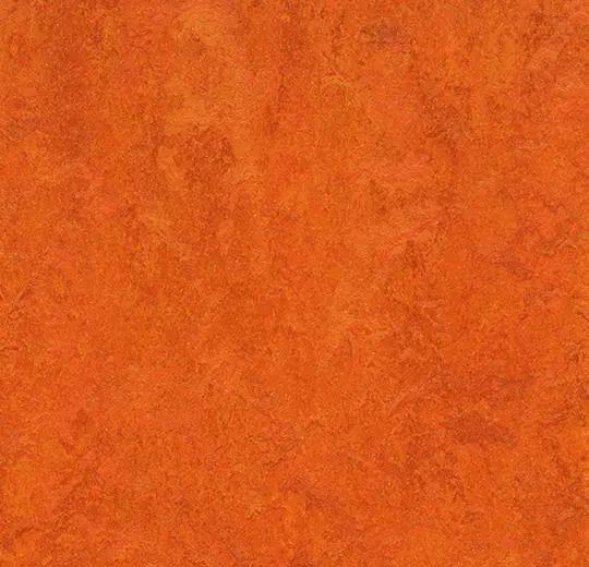 Forbo Marmoleum Fresco 3126 Kyoto, Doe-het-zelf en Verbouw, Overige Doe-het-zelf en Verbouw