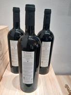 2020 Lenovelire, Re Bernet - Bolgheri, Toscane DOC,, Nieuw