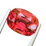 Rood Spinel - 6.04 ct - Lotus Gemology - Intense Red spinell, Nieuw