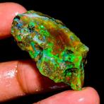 Opaal ruw AAA+++ vuurmulticolor 46,5Ct - Lightning Ridge-