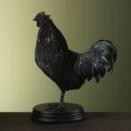 Ayam Cemani Taxidermie Opgezette Dieren By Max, Ophalen of Verzenden, Nieuw, Vogel, Opgezet dier
