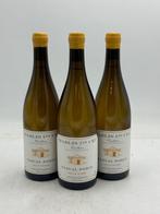 2023 Pascal Robin Vaillons - Chablis 1er Cru - 3 Flessen, Nieuw
