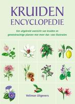 De kruidenencyclopedie 9789048309290 Hans W. Kothe, Verzenden, Gelezen, Hans W. Kothe