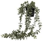 HEMA Kunstplant eucalyptus van €9 voor €5 sale, Huis en Inrichting, Kamerplanten, Verzenden