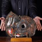 Red Opal - Pyritized Fossil Ammonite - Indrukwekkend