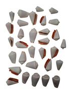 Valaipoo Wit Schelpen 500 gram, Hobby en Vrije tijd, Knutselen, Ophalen of Verzenden, Nieuw