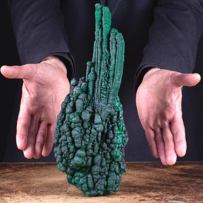 Stalactitische malachiet Uitzonderlijke malachiet met, Verzamelen, Mineralen en Fossielen