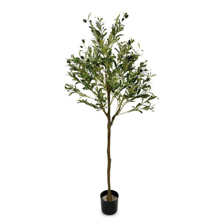 IvoQ Kunst Olijfboom 150 cm, Huis en Inrichting, Woonaccessoires | Kunstplanten en Kunstbloemen, Nieuw, Verzenden