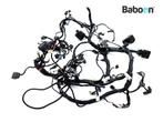 Kabelboom Ducati Multistrada 1260 S 2018-2020 (MTS1200), Verzenden, Gebruikt