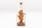 Kloosterwerk in glazen fles, 19e-eeuw - Glas - 1850-1900, Antiek en Kunst