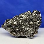 Authentieke IJZEREN METEORIET. Sculpturale CAMPO DEL CIELO