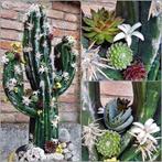 Oasis® black bioline® cactus grote zwarte 38 x 74 11 cm, Nieuw, Ophalen of Verzenden