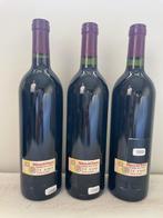 1999 Bodegas y Viñedos Alion - Ribera del Duero - 3 Flessen, Verzamelen, Nieuw