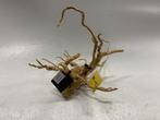 Spiderwood Selected SW38 - 37x28x26cm (Spider wood), Dieren en Toebehoren, Ophalen of Verzenden, Nieuw, Plant(en), Steen of Hout