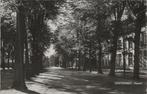 OOSTERHOUT - Heuvel, Verzamelen, Verzenden, Gelopen