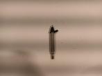 Injector Mercedes-Benz E-Class  E 300 e A2560705600, Auto-onderdelen, Motor en Toebehoren, Ophalen of Verzenden, Gebruikt, Mercedes-Benz