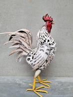 sculptuur, A large rooster - 70 cm - IJzer, Metaal