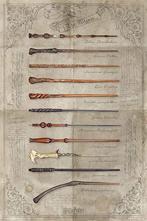 Poster Harry Potter The Wand Chooses the Wizard 61x91,5cm, Verzamelen, Verzenden, Nieuw, A1 t/m A3