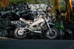 Buell - Ulysses - Classic Scrambler Special - 2004, Motoren