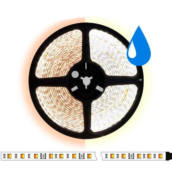 5 meter CCT  led strip DUAL LED - 60Leds/m - IP65 - 12V, Auto-onderdelen, Verlichting, Ophalen of Verzenden