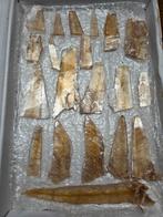 Partij/Verzameling bruine Seleniet Spanje, Verzamelen, Mineralen en Fossielen, Ophalen of Verzenden, Mineraal