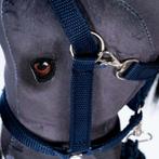 ByAstrup - Halster en halstertouw blauw voor bij stokpaarden, Nieuw