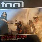 LP nieuw - Tool - Like A Dog In Heat - Live At Wings Stad..., Cd's en Dvd's, Vinyl | Rock, Verzenden, Nieuw in verpakking