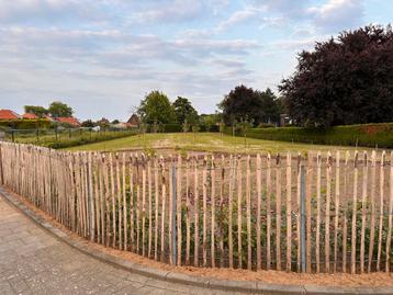 Schapenhek ambachtelijk 120cm hoog 3-6cm 5meter ROBINIA HOUT beschikbaar voor biedingen