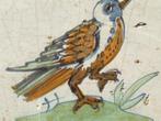 Tegel - Een gekleurde Zanglijster--Zeldzaam. - 1650-1700, Antiek en Kunst