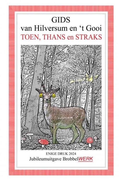 9789465128399 Gids van Hilversum en t Gooi, Boeken, Studieboeken en Cursussen, Nieuw, Verzenden
