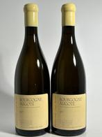 2017 Pierre-Yves Colin-Morey - Bourgogne Aligoté - Bourgogne, Nieuw