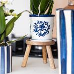 Kolibri Orchids | witte orchidee Amabilis + Malaga sierpot b, Tuin en Terras, Verzenden