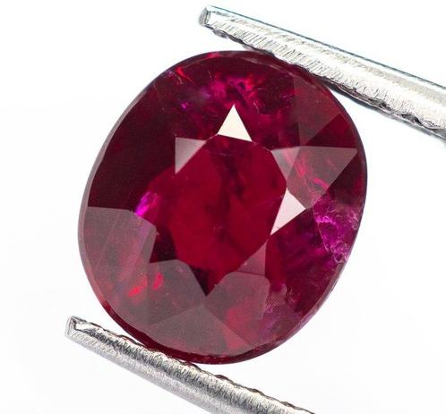Zonder Minimumprijs Robijn - 2.19 ct - Lotus Gemology -, Sieraden, Tassen en Uiterlijk, Edelstenen