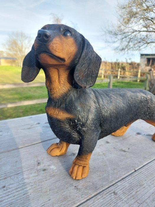 Beeld, tuin beeld van een teckel - 25 cm - polyresin, Antiek en Kunst, Kunst | Designobjecten