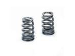 Supertech BMW S65/S85 Beehive Valve Spring - Set of 40 (Use, Auto-onderdelen, Ophalen of Verzenden, Nieuw