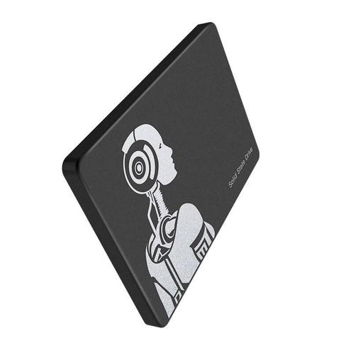 LUXWALLET DMF5 - Interne 512GB SSD 2.5 Inch SATA3 (6Gbps) -, Computers en Software, Harde schijven, Verzenden