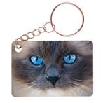 Sleutelhanger 6x4cm - Siamees kat Close-up NIEUW, Ophalen of Verzenden, Nieuw