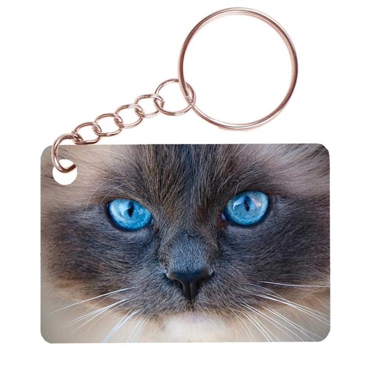 Sleutelhanger 6x4cm - Siamees kat Close-up NIEUW, Verzamelen, Sleutelhangers, Nieuw, Ophalen of Verzenden