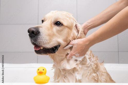 Dog Shampoo 5 liter, Huis en Inrichting, Schoonmaakartikelen, Verzenden