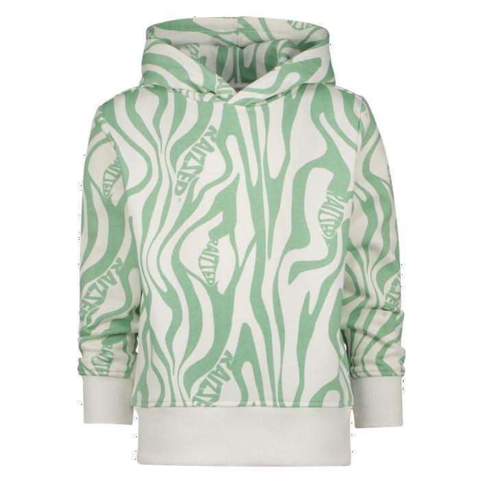 Trui Raizzed Miesjes - Maat 152 (Meisjes, Kindermode), Kinderen en Baby's, Kindermode-accessoires, Nieuw, Verzenden