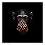Mr Strange - Almost Human, Antiek en Kunst