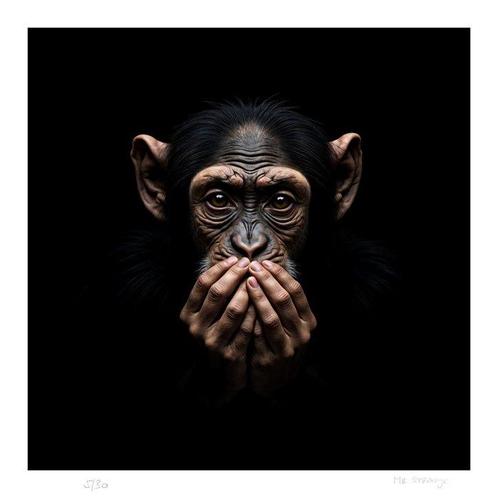 Mr Strange - Almost Human, Antiek en Kunst, Kunst | Schilderijen | Modern