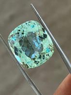 1 pcs Groen, Blauw Paraiba toermalijn - 23.55 ct -, Nieuw