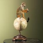 Doodshoofdaapje Taxidermie volledige montage - Saimiri, Nieuw