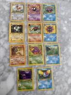 Pokémon - 80 Card, Hobby en Vrije tijd, Nieuw