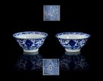 Een paar grote Chinese blauwe en witte Floral kommen (2) -